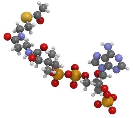 Simpla 360 contains a coenzyme Q10