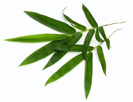 Simpla 360 contains ecstate bamboo leaves